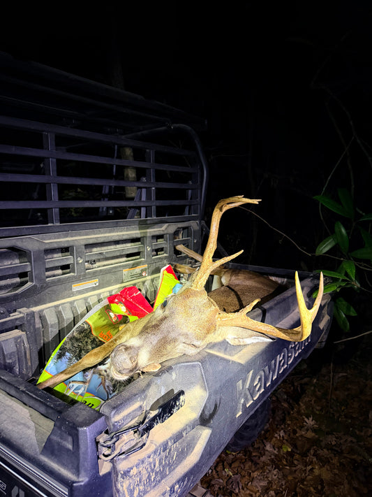 Louisiana Deer Hunting: Peak Season in the Sportsman’s Paradise
